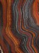 Polished Tiger Iron Stromatolite - ( Billion Years) #92949-1